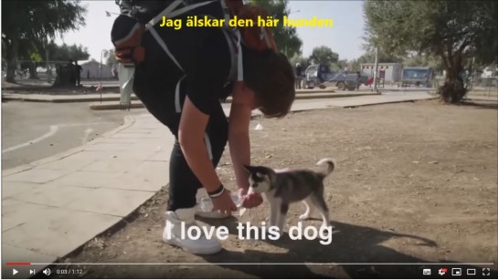 Jag älskar min hund Puppy Rose